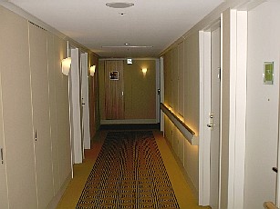 �ʘH