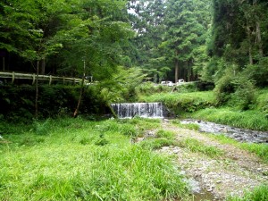 貴船川から奥宮方向を見る